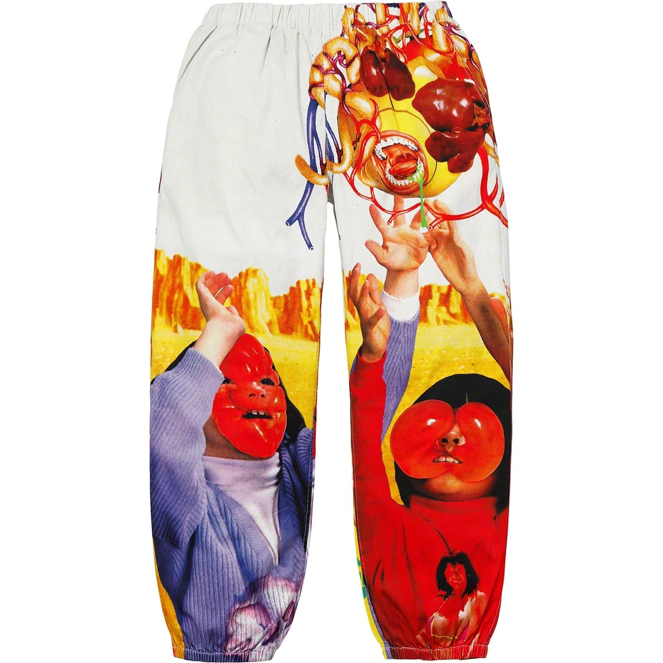 Sekintani La Norihiro/Supreme Skate Pant view 2